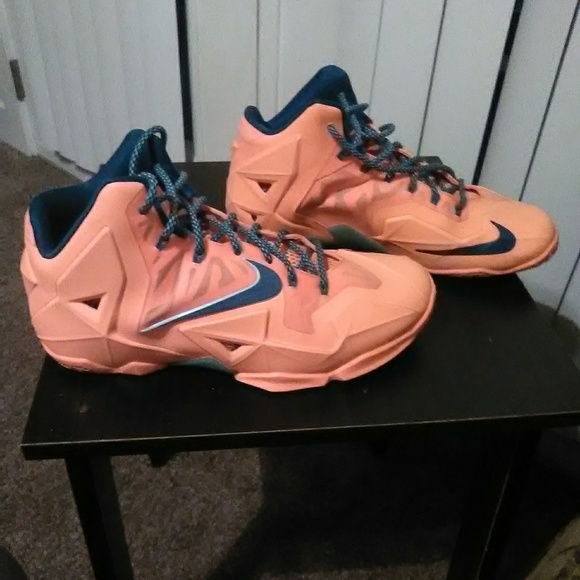 Lebrons - Picture 2 of 6